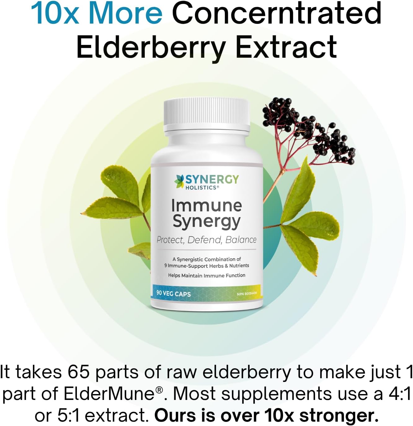 Immune supplement bottle labeled Immune Synergy with elderberry extract text and graphics.