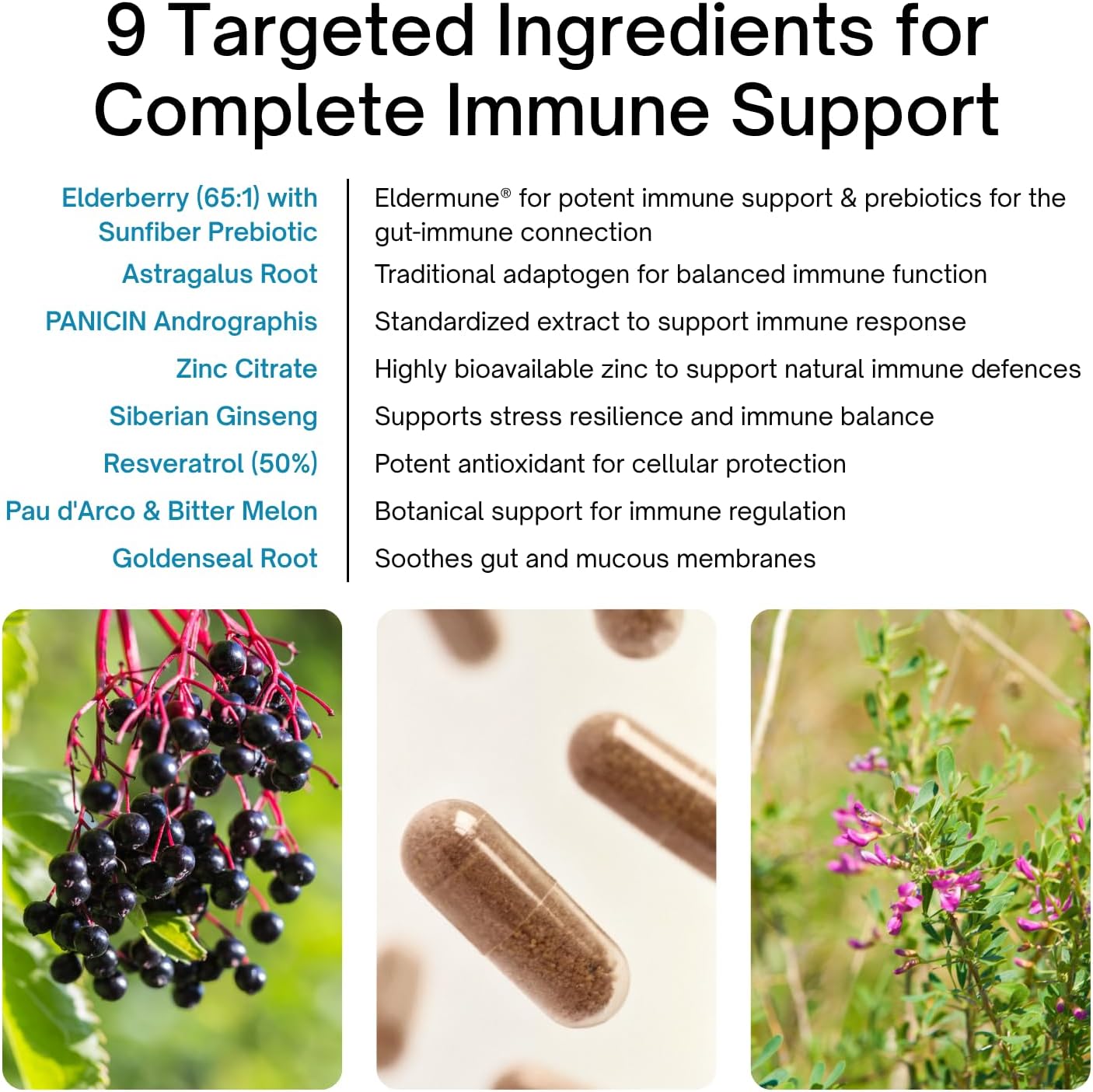 List of targeted ingredients for immune support with images of elderberries, a capsule, and plants.
