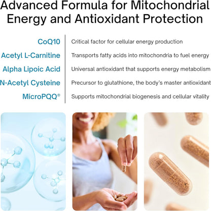 Supplemental health product with CoQ10, Acetyl L-Carnitine, Alpha Lipoic Acid, N-Acetyl Cysteine, and MicroPQQ, highlighting their functions.
