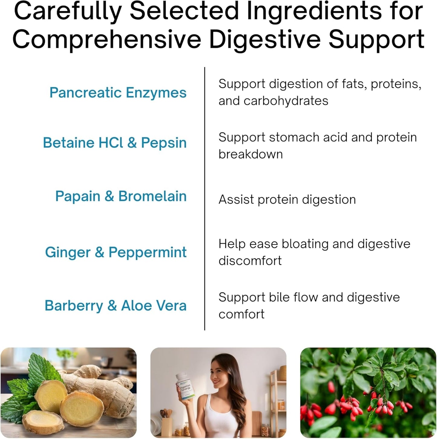 List of digestive support ingredients with images and descriptions on a white background