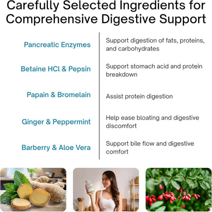 List of digestive support ingredients with images and descriptions on a white background